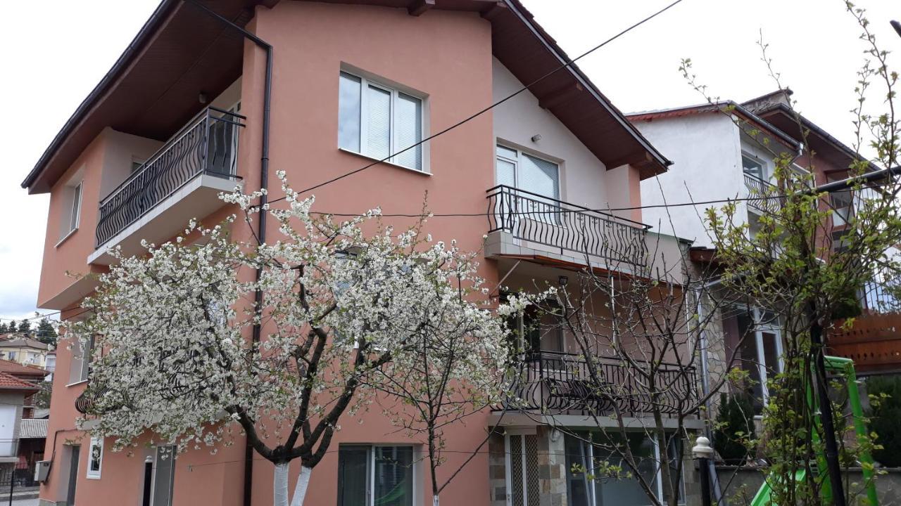 Вила Багрянови Dospat Dış mekan fotoğraf
