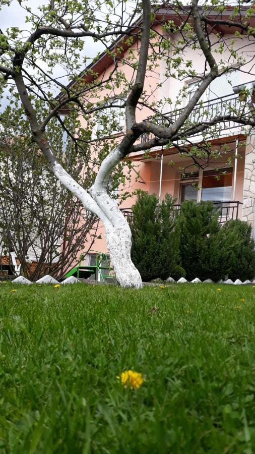 Вила Багрянови Dospat Dış mekan fotoğraf